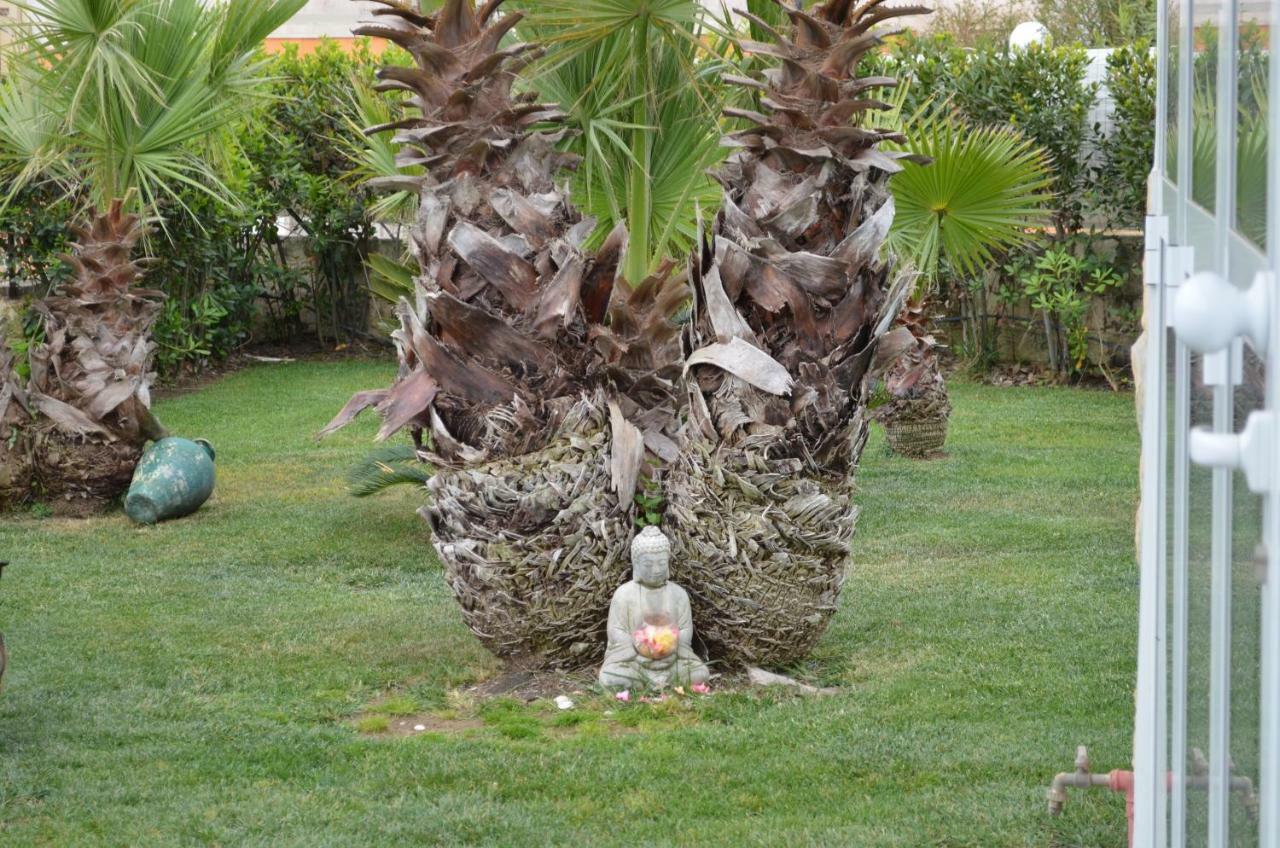 산타 마리아 델 포칼로 Floripa Surf House B&B 외부 사진